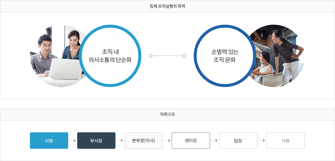 팀제 조직실행의 목적 표와 직위구조도